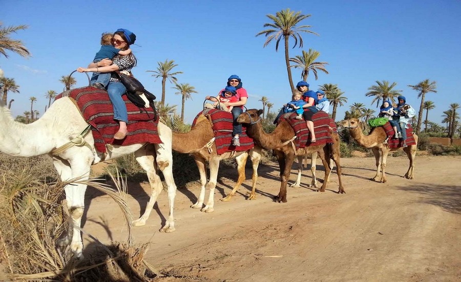 CAMEL-RIDING-2.jpg.jpg