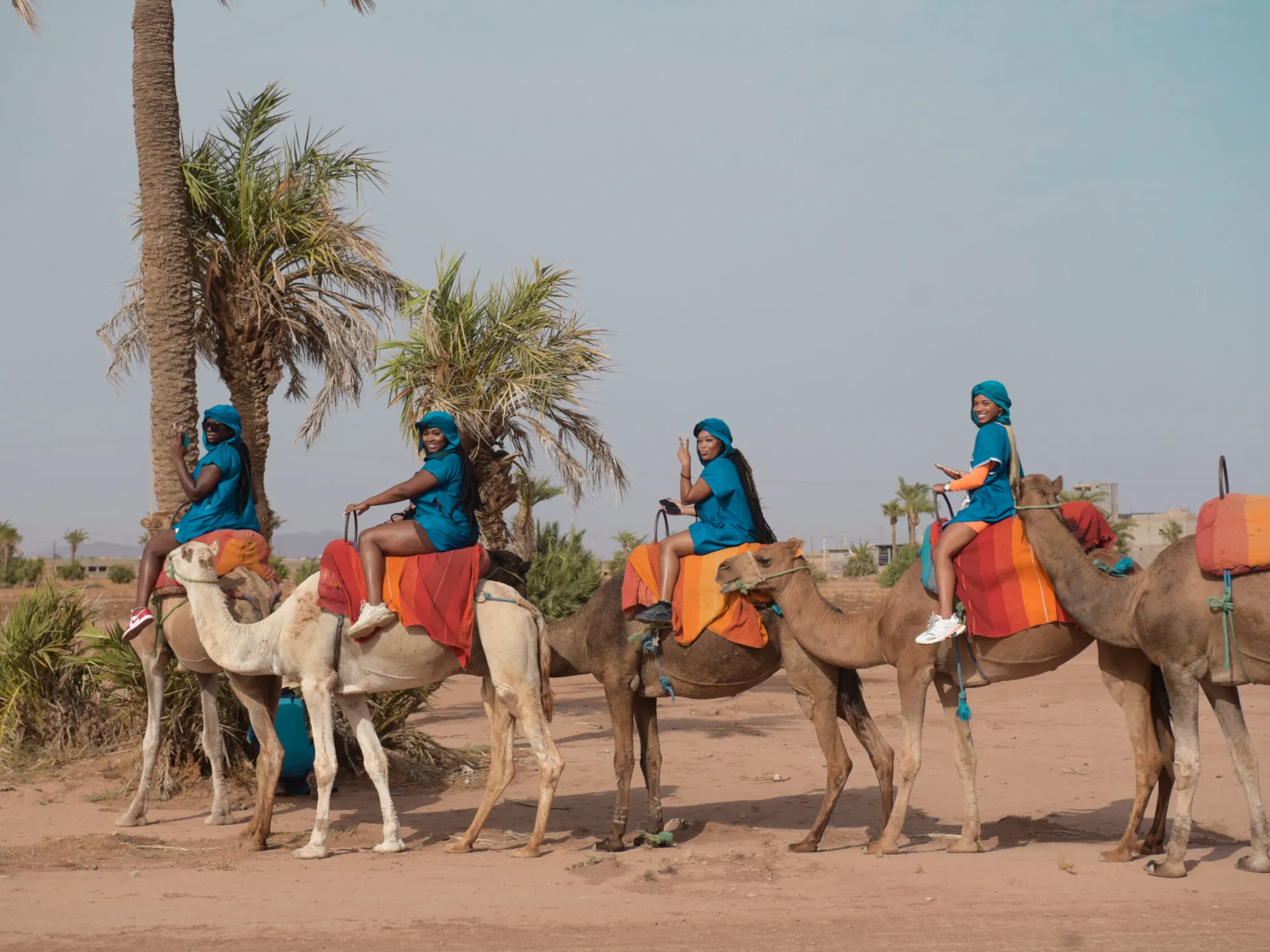 Marrakech camel rides