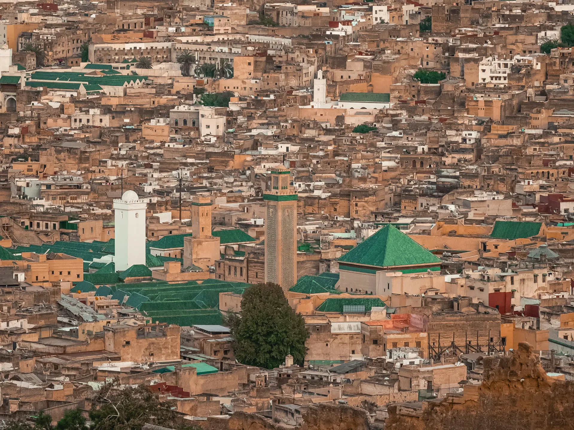 fes